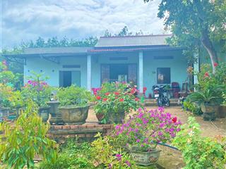 Chú tám cần bán đất vườn trái cây sẳn nhà cấp 4 ở bình dương, rộng 2541m2, thổ cư, giá rẻ 680tr