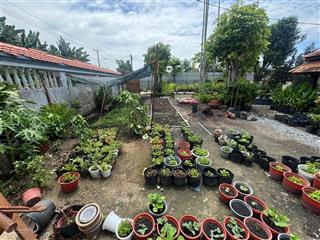 Bán gấp lô đất tại xã tân phú trung, huyện củ chi 1600m2, hướng đông băc, đất vuông vức 16 tỷ