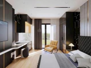 Bán villa mini phạm quang ảnh mới full đẹp