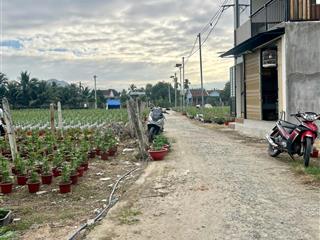 Bán đất đường 4m, 1,1 tỷ, diên toàn, diên khánh