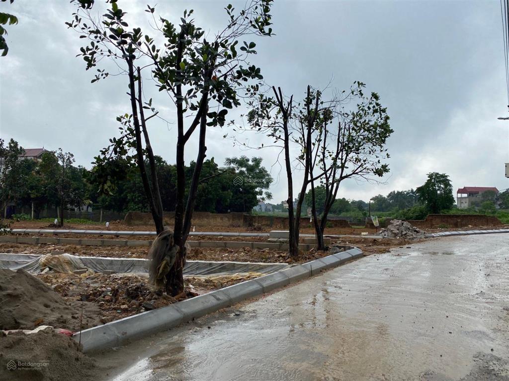 Cần bán đất 86m2 sau siêu thị đức thành cách tl420 300m xây trọ tốt (không tiếp môi giới)