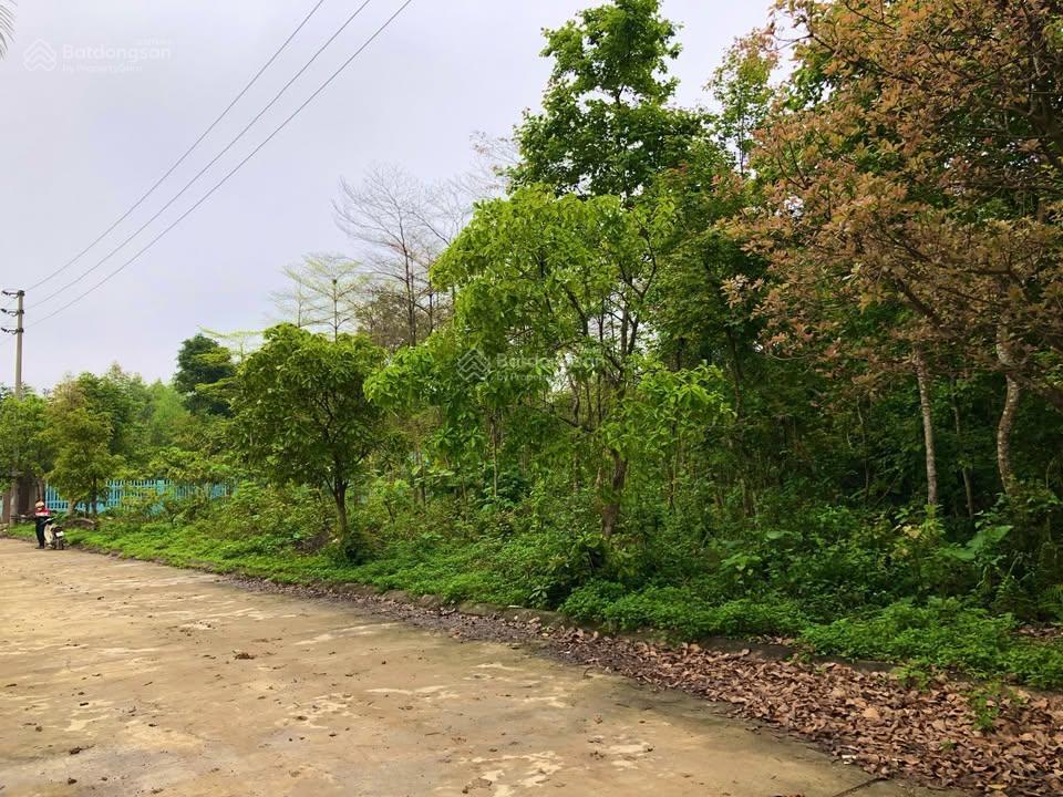Bán 853m2(ont80) lương sơn, giá 4,x tỷ. cách nội đô hà nội 35km