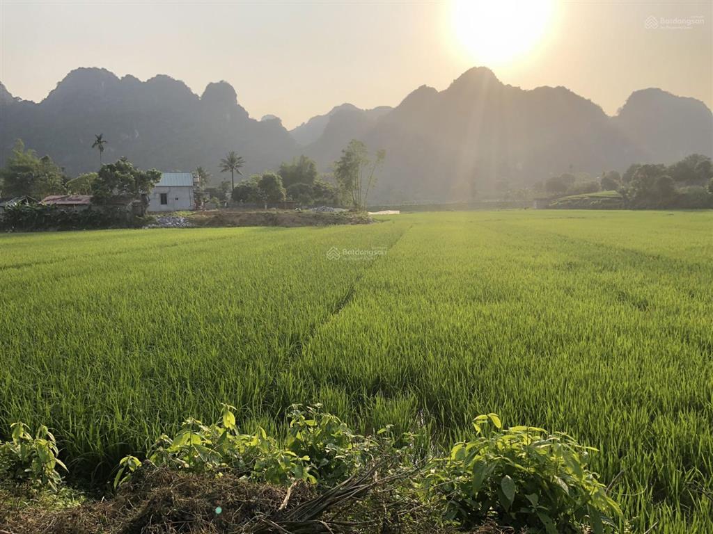Bán đất 4351m2, 600m2 thổ cư, đất vườn 50 năm, sổ công chứng, vị trí gần quốc lộ 21a