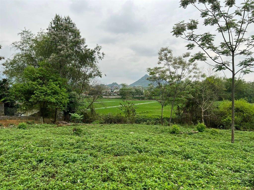 Bán 1250m2 thổ cư, đất vuông, xã tân tiến, chương mỹ, hà nội. cách đường chính 10m.  0973 304 ***