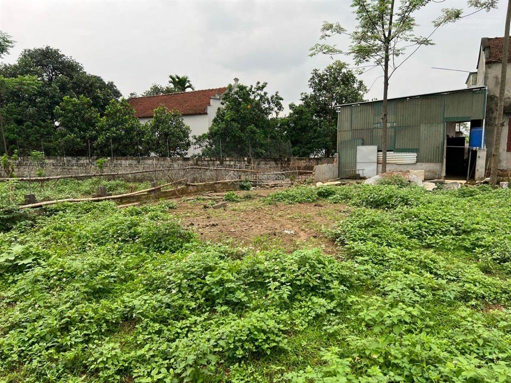 Bán 1250m2 thổ cư, đất vuông, xã tân tiến, chương mỹ, hà nội. cách đường chính 10m.  0973 304 ***