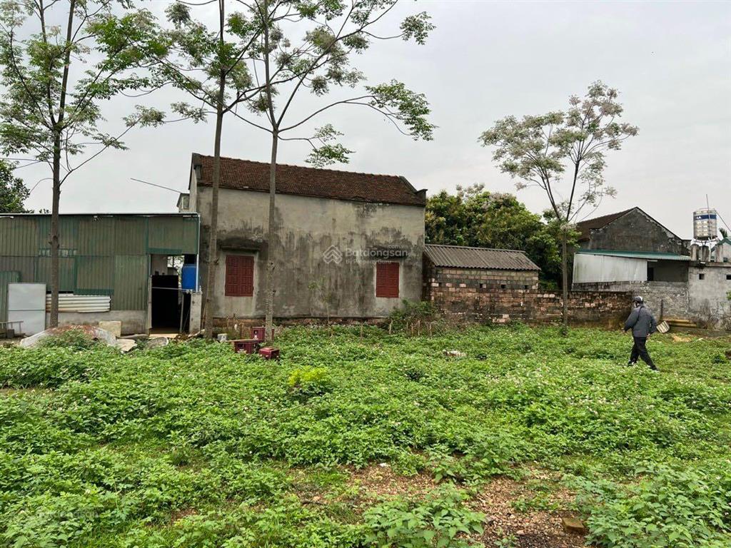 Bán 1250m2 thổ cư, đất vuông, xã tân tiến, chương mỹ, hà nội. cách đường chính 10m.  0973 304 ***