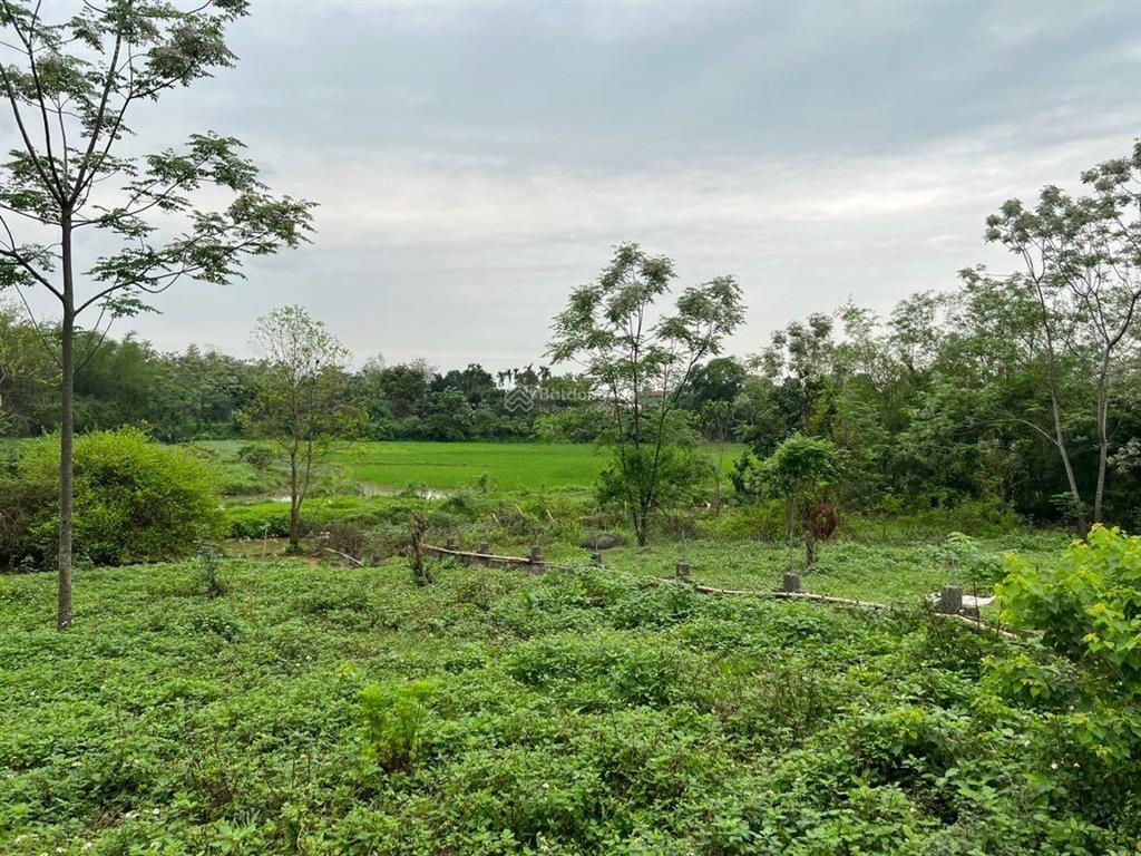 Bán 1250m2 thổ cư, đất vuông, xã tân tiến, chương mỹ, hà nội. cách đường chính 10m.  0973 304 ***