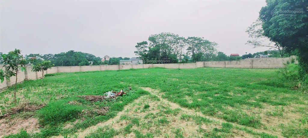 Bán 1869m2 có 200m2 tc. tại xã nam phương tiến chương mỹ hà nội. đất vuông vắn bằng phẳng ranh giới
