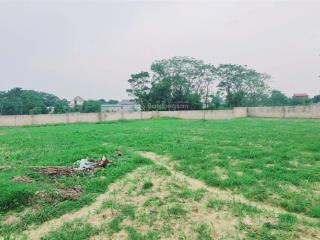 Bán 1869m2 có 200m2 tc. tại xã nam phương tiến chương mỹ hà nội. đất vuông vắn bằng phẳng danh giới