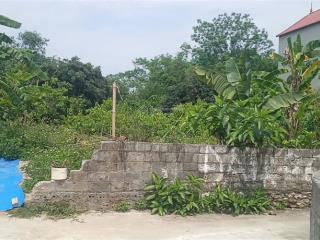 Bán đất giá rẻ tại tân tiến chương mỹ hà nội. 6,5tr/m2 dt 734m2 có 100m2 tc mt 18,60m đường 4m