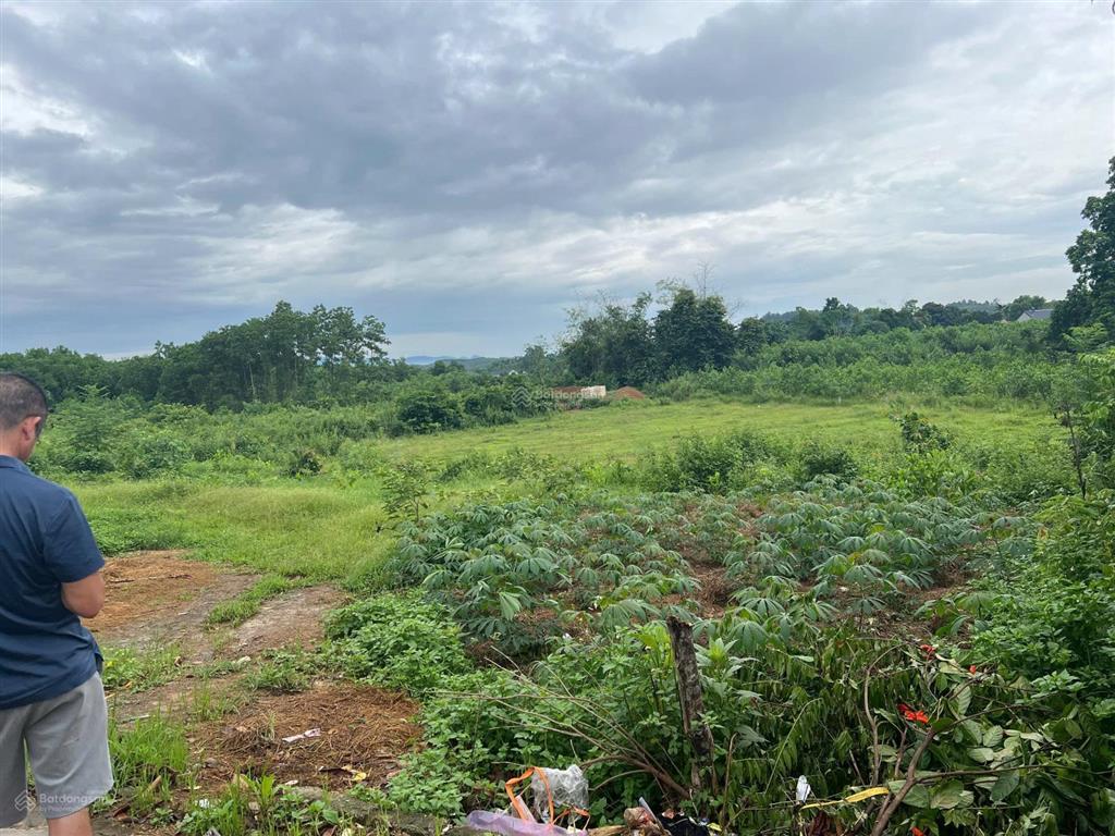 Bán đất 5000m2 tại thị trấn ba hàng đồi, lạc thủy, hòa bình, giá 5,5 tỷ