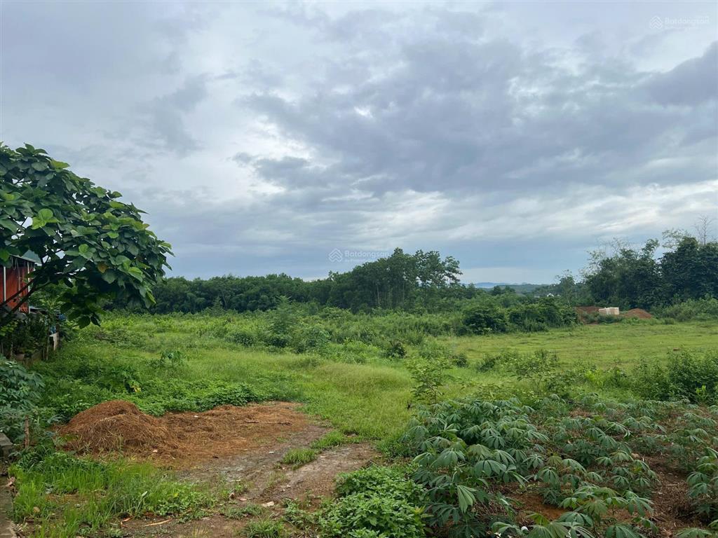 Bán đất 5000m2 tại thị trấn ba hàng đồi, lạc thủy, hòa bình, giá 5,5 tỷ