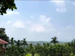 Bán đất 1669m2 tại đường 87a, minh quang, ba vì, hà nội, giá siêu hời 5 triệu / m2