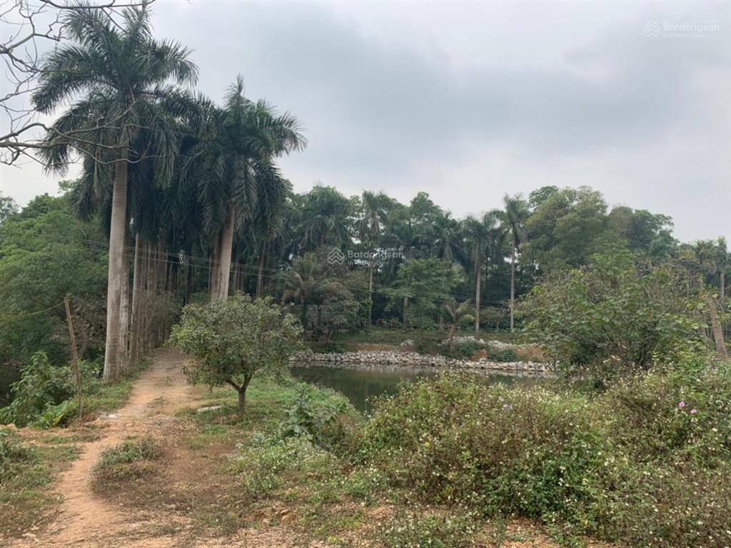 Bán đất sinh thái nghỉ dưỡng giá rẻ tại đồng sương liên sơn hòa bình