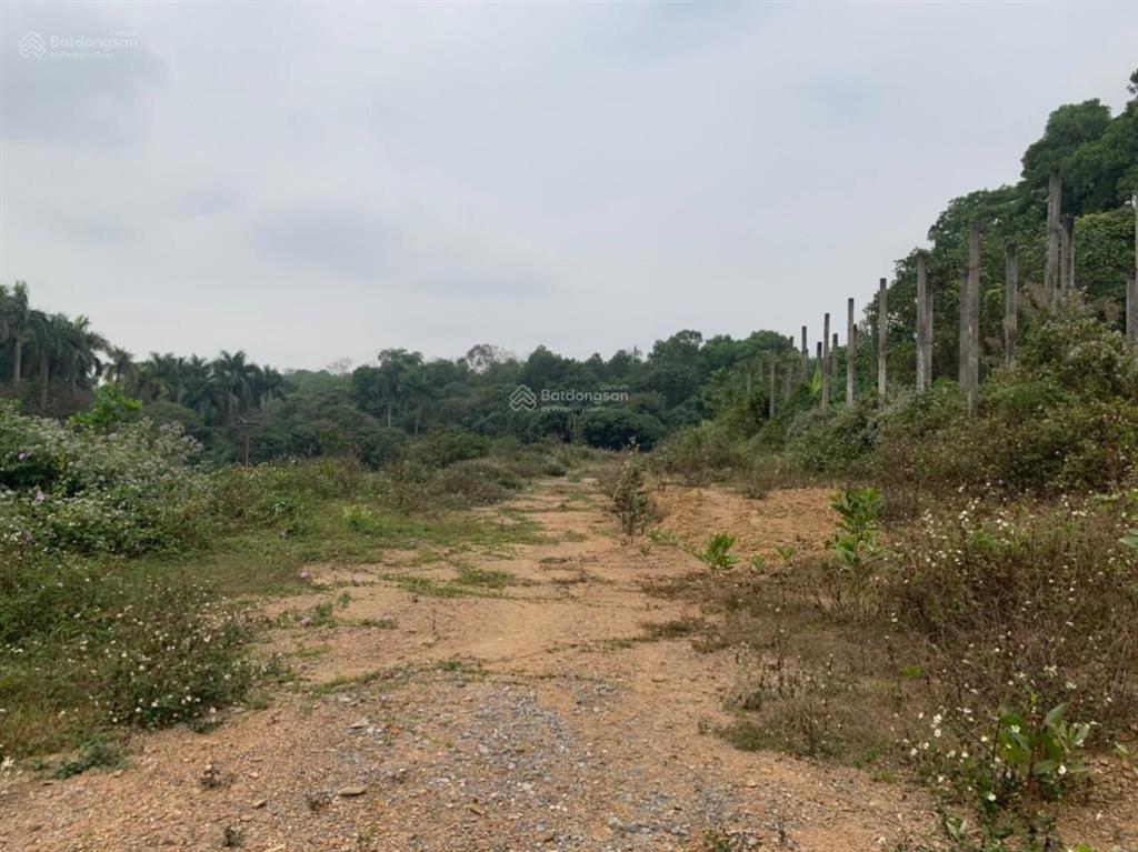 Bán đất sinh thái nghỉ dưỡng giá rẻ tại đồng sương liên sơn hòa bình