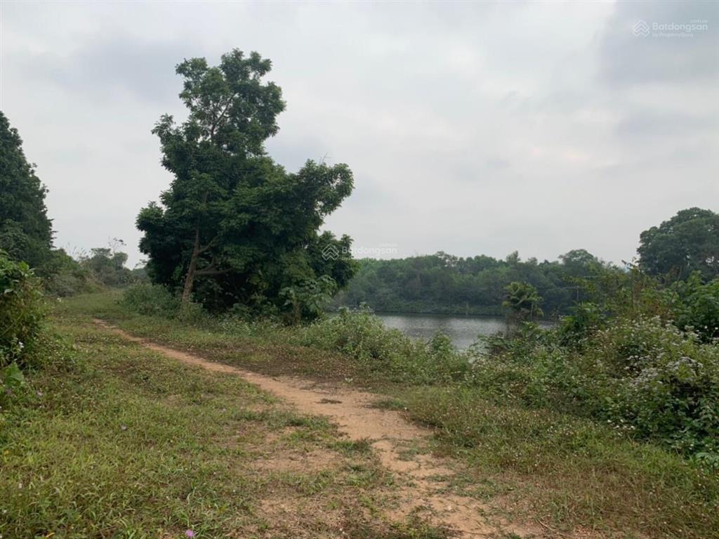 Bán đất sinh thái nghỉ dưỡng giá rẻ tại đồng sương liên sơn hòa bình