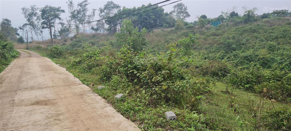 Bán 7200m2 đất nhà vườn tại lương sơn, hòa bình