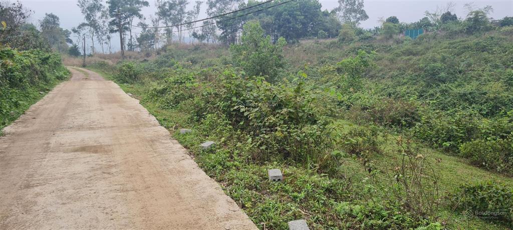 Bán 7200m2 đất nhà vườn tại lương sơn, hòa bình