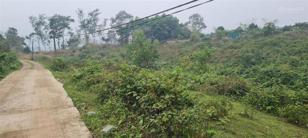 Bán 7200m2 đất nhà vườn tại lương sơn, hòa bình