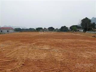 Bán 1,5ha đất ccn giá 1,3tr/m2, xây dựng nhà xưởng nhà máy