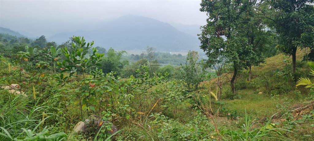 Bán 234ha đất rừng sx tại thị trấn bo, kim bôi, hòa bình