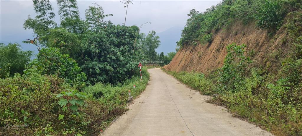 Bán 234ha đất rừng sx tại thị trấn bo, kim bôi, hòa bình