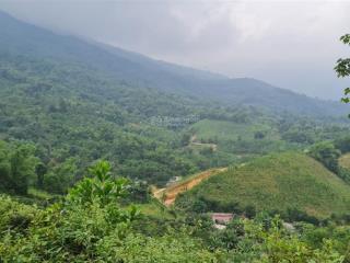 Bán 234ha đất rừng sx tại thị trấn bo, kim bôi, hòa bình