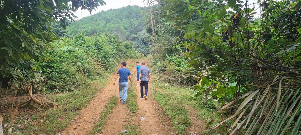 Bán 64ha đất rừng sx giá rẻ 180tr/ha tại kim bôi, hòa bình