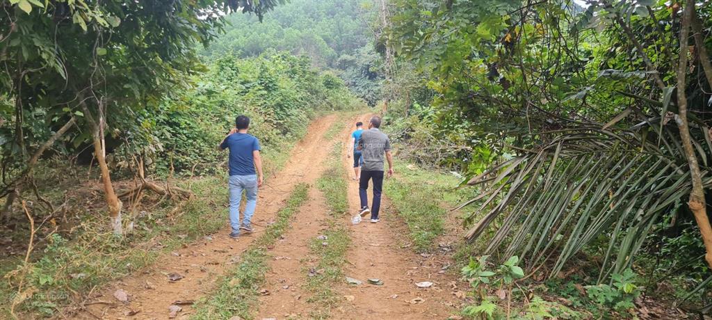 Bán 64ha đất rừng sx giá rẻ 180tr/ha tại kim bôi, hòa bình