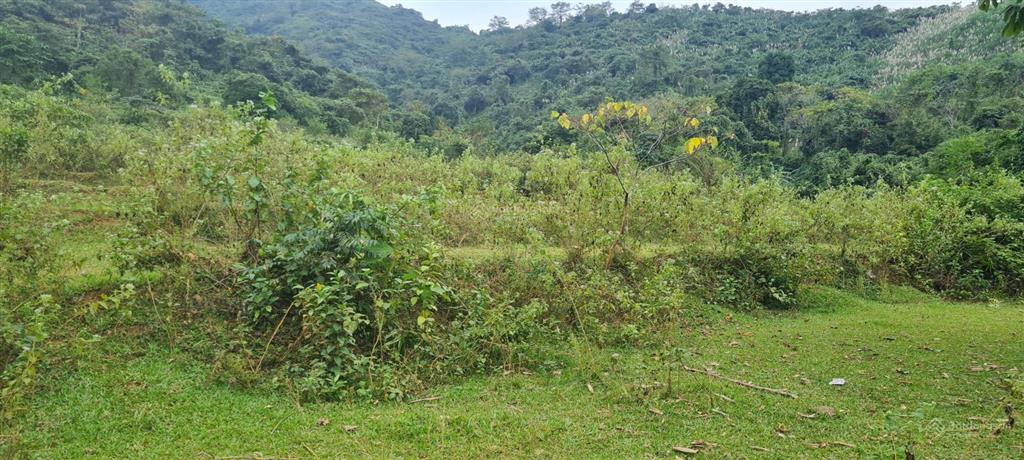 Bán 64ha đất rừng sx giá rẻ 180tr/ha tại kim bôi, hòa bình