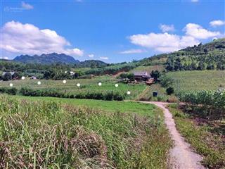 Đất nhà vườn, nghỉ dưỡng tại hòa bình giá rẻ chỉ 700k/m