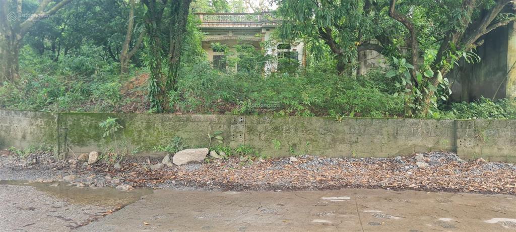 Bán đất phân lô tại lương sơn hòa bình, giá rẻ chỉ 3,2tr/m2