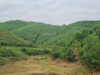 Bán dự án trại lợn tại thành hóa