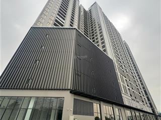 Chính chủ gửi bán căn hộ 114,5m2 the wisteria hinode.