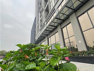 Chính chủ gửi bán căn hộ 100m2 the wisteria hinode