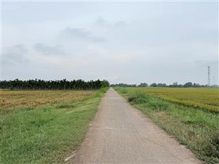 Chính chủ cần bán miếng đất mặt tiển đường phan thị sẻ xã thái mỹ, tp. hcm