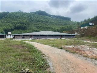 Bán trang trại chăn nuôi 2,63ha chính chủ