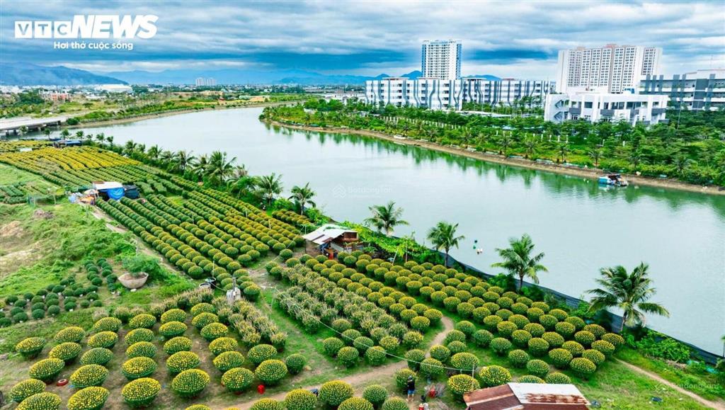 Sở hữu căn hộ an phú thịnh  view sông thoáng mát  giá tham khảo tốt trong khu vực