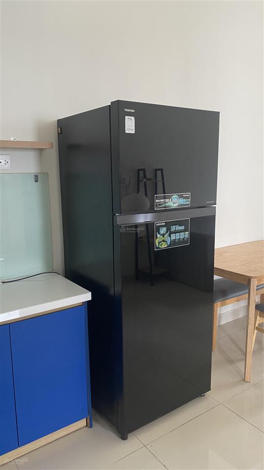 Cho thuê cc sunrise city view 2 phòng ngủ miễn phí quản lý