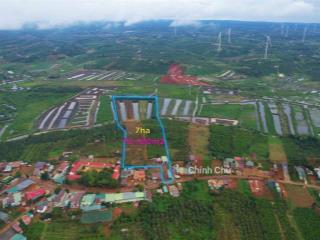 Chính chủ bán 7ha đất sẵn sổ giá tốt tại đăk song