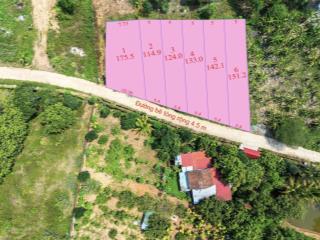 6 lô full thổ cư diên thọ  diên khánh 115m2 430tr cách tỉnh lộ 2 tầm 100m. đường bê tông 4,5m dân