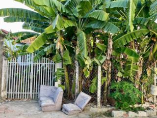 Bán lô đất thôn đông  vĩnh phương  bắc nha trang diện tích 177m2 ngang 6,2m (80m2 thổ cư) 2tỷ190