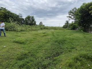 Cần bán lô đất rừng sản xuất hòa ninh. diện tích 280.000m². (28ha). không dính dự án