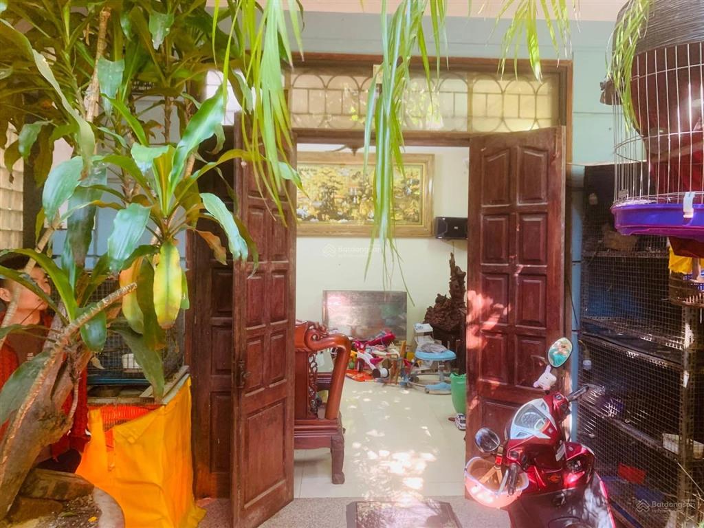 Bán nhà riêng cát linh hào nam nhà dân xây móng 7 tầng, 55m 5 tầng giá chào hơn 10 tỷ ngõ 3m