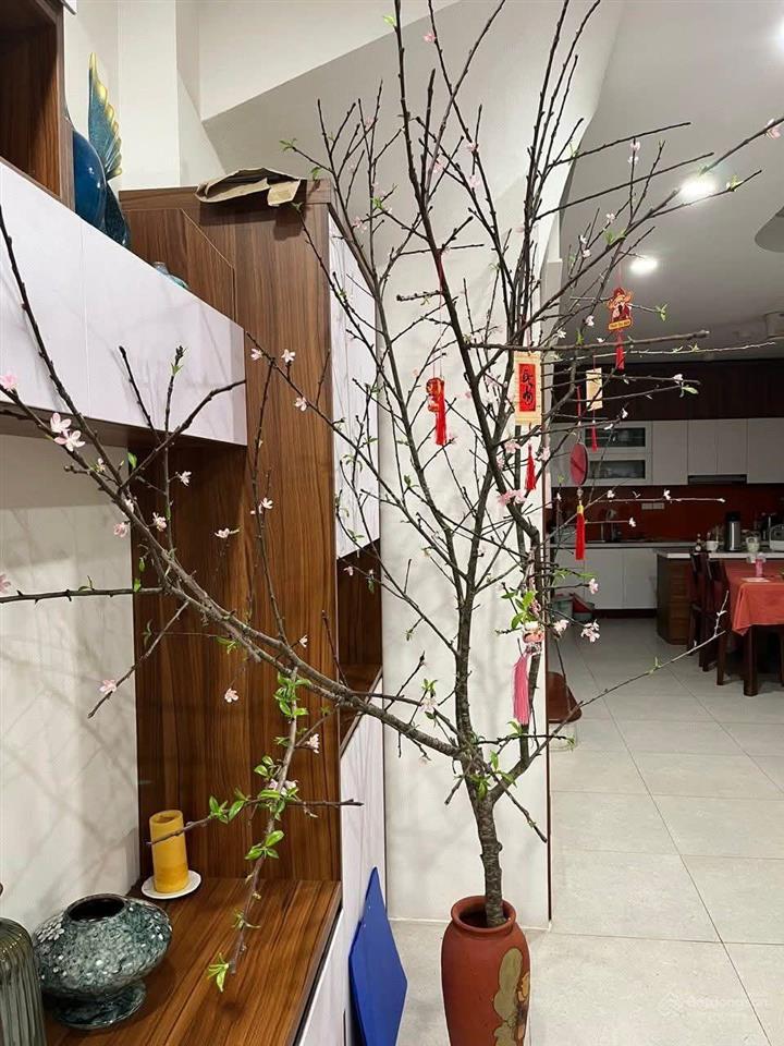 Bán nhà riêng ngã 3 hào nam cát linh, đống đa  gần hoàng cầu diện tích rộng  gần phố  hai thoáng
