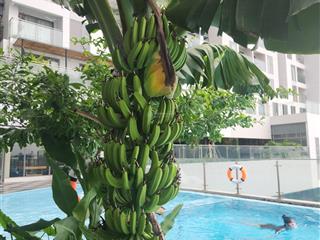 Cc urban green chỉ 13 triệu vnd, 84m2, 2pn2wc view nội khu hồ bơi mát mẻ full máy lạnh, rèm máy nn