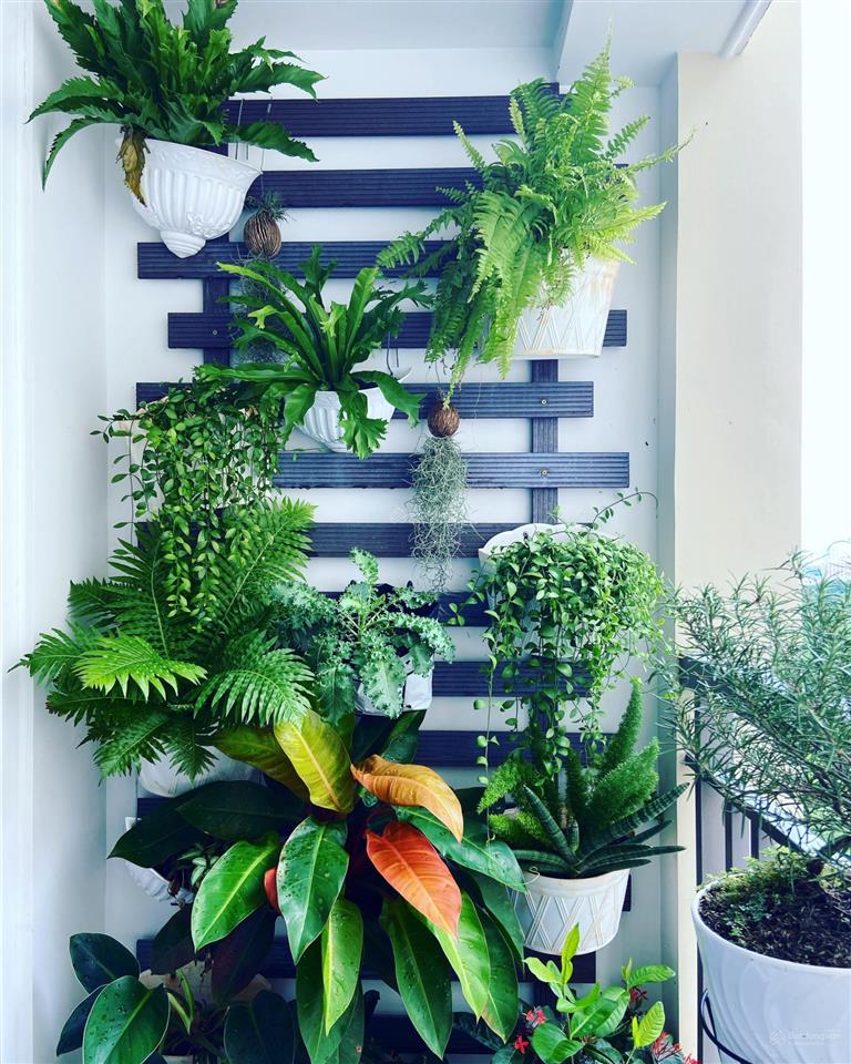 2pn 1wc 60m2 saigon mia 4.4 tỷ view biệt thự tầng đẹp  cập nhật t5/2026  sắp nhận sổ  vay 75%