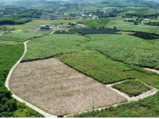 Bán 38,000m2 đất thích hợp làm farm