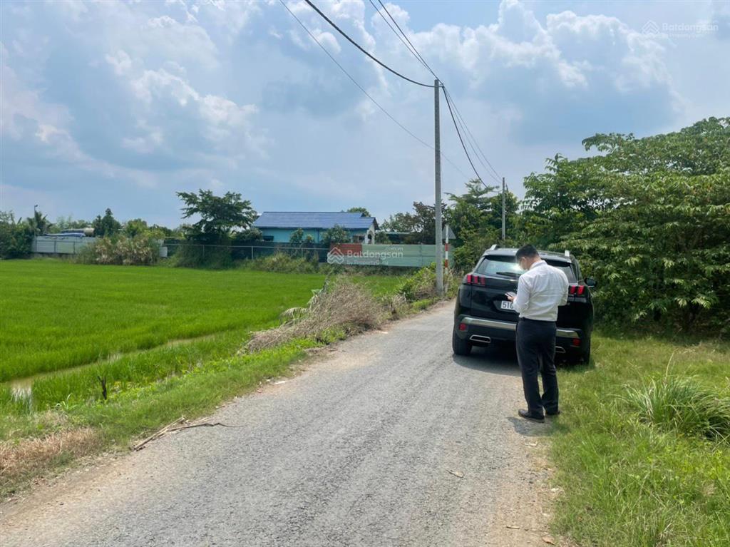 Cần bán đất lúa đường láng cát