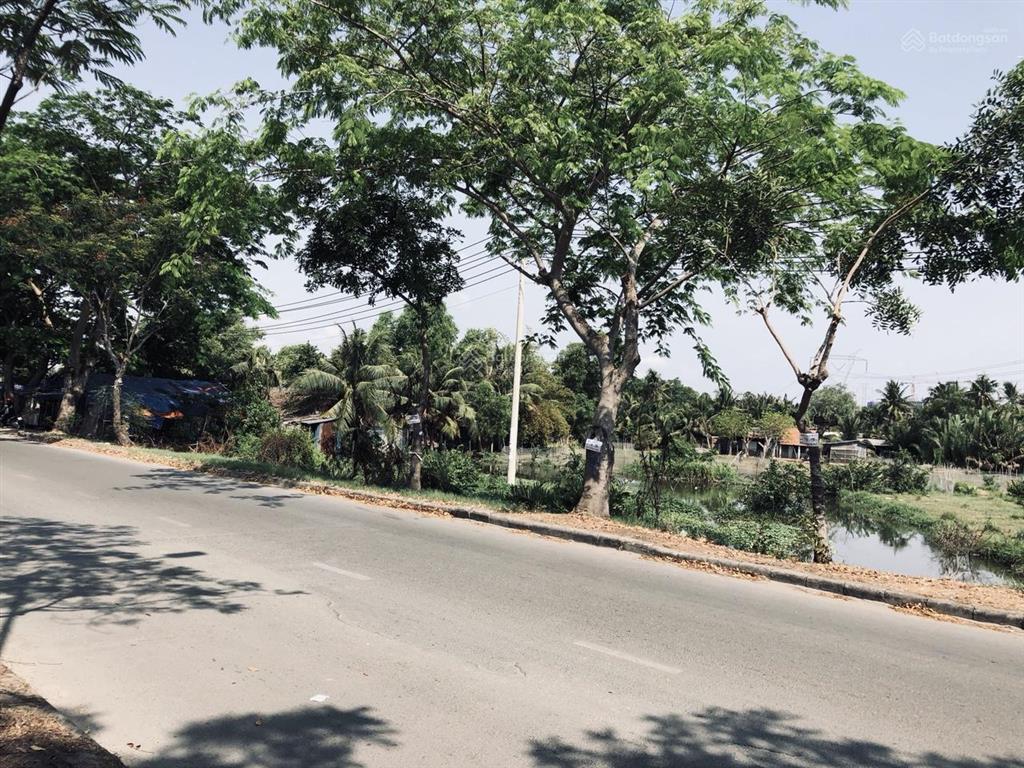 Bán nền biệt thự 264m2 tại 13b conic phong phú, 57 triệu/m2, q. bình chánh, hcm hot